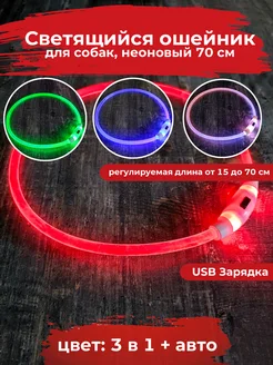 Светящийся ошейник для собак с usb зарядкой, длина 70 см Букан 268105576 купить за 502 ₽ в интернет-магазине Wildberries