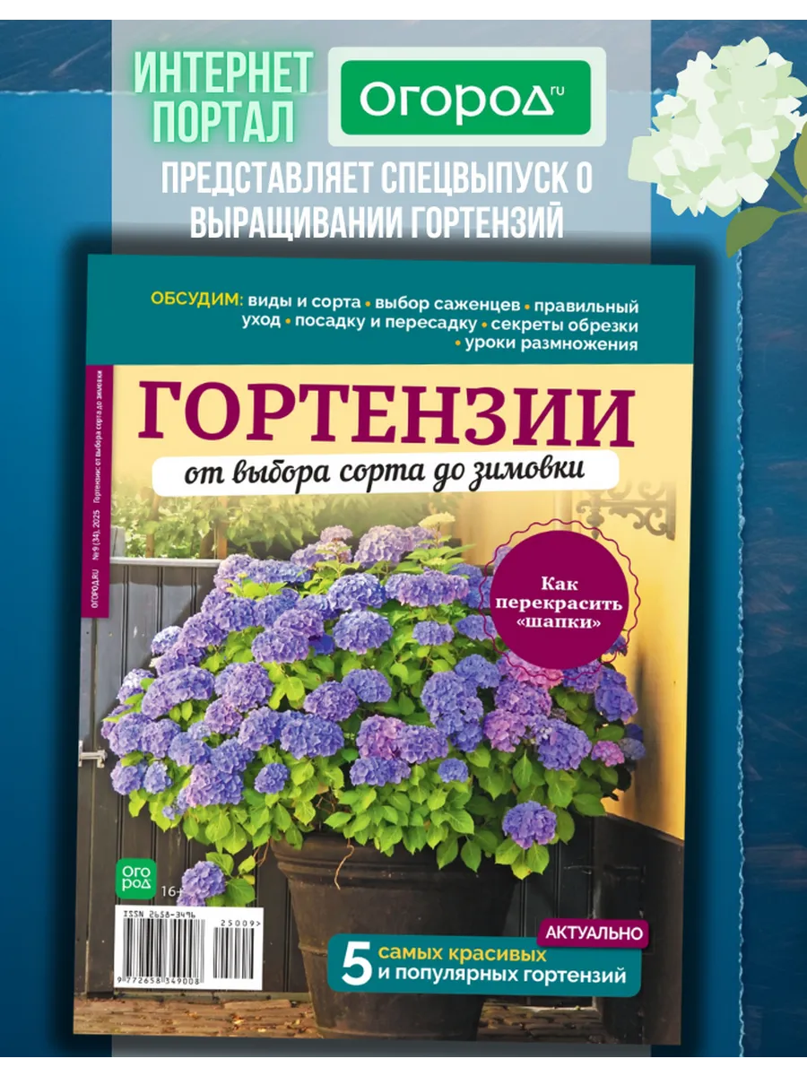 Школа Цветовода. Красивые цветы. Гортензия