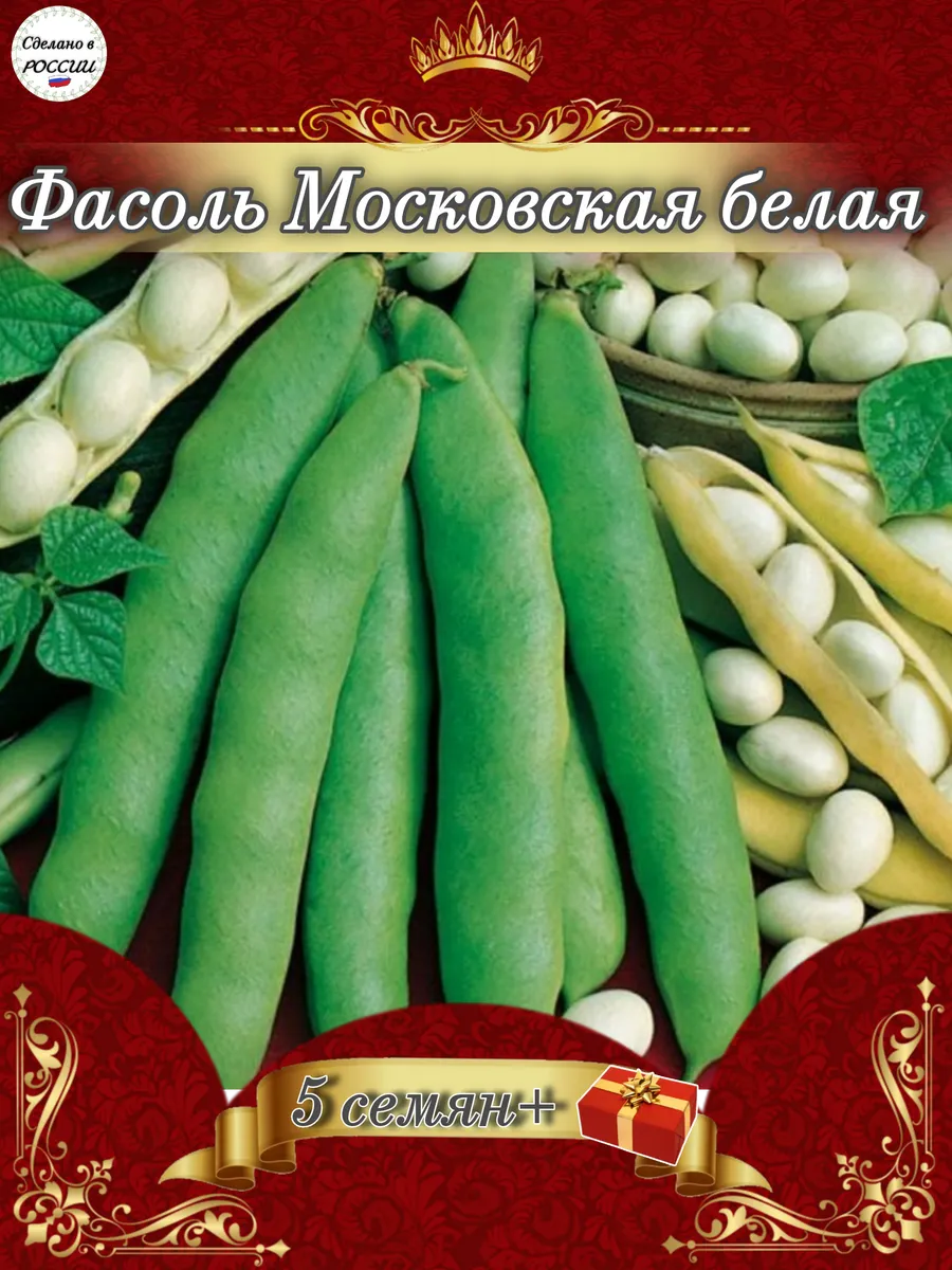 Фасоль московская белая семена