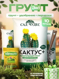 Грунт для кактусов и суккулентов 10 л