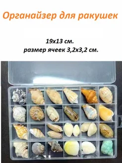 Футляр для ракушек