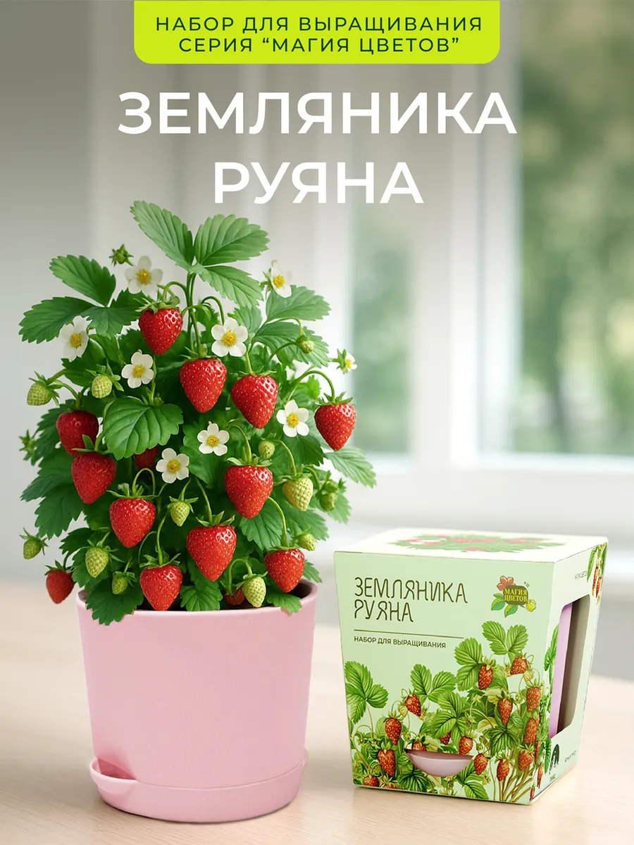 Земляника Руяна Набор для выращивания растений