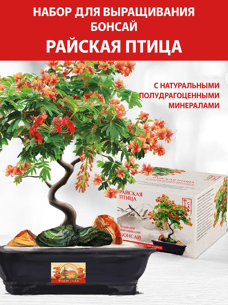 Набор для выращивания растений Бонсай Райская птица