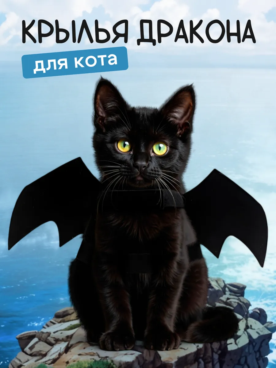 Одежда для собак и кошек