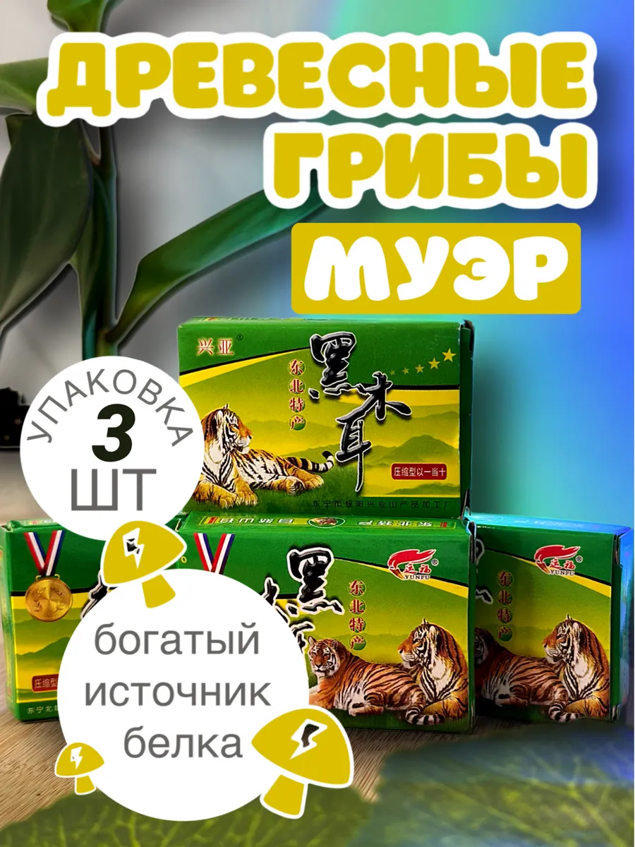 Грибы древесные сушеные...