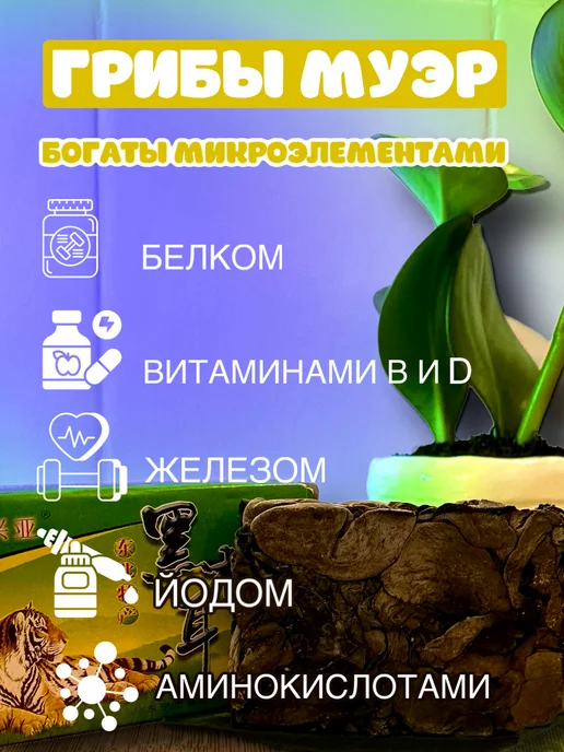 СИНЕ Грибы древесные сушеные прессованные муэр, вариант, фото 2