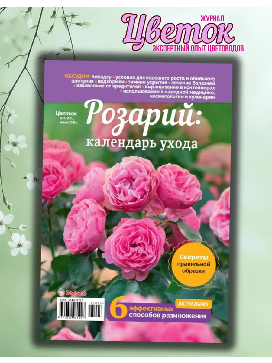 Школа Цветовода. Красивые цветы. Роза