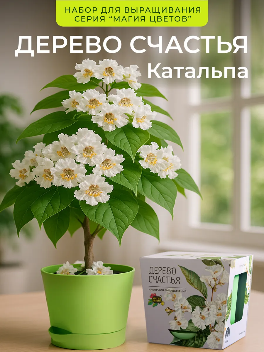 Дерево счастья Катальпа Набор для выращивания растений