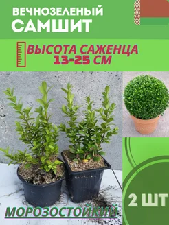 Интернет-магазин Wildberries: широкий ассортимент товаров - скидки каждый день!