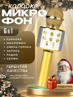 микрофон караоке детский беспроводной с колонкой