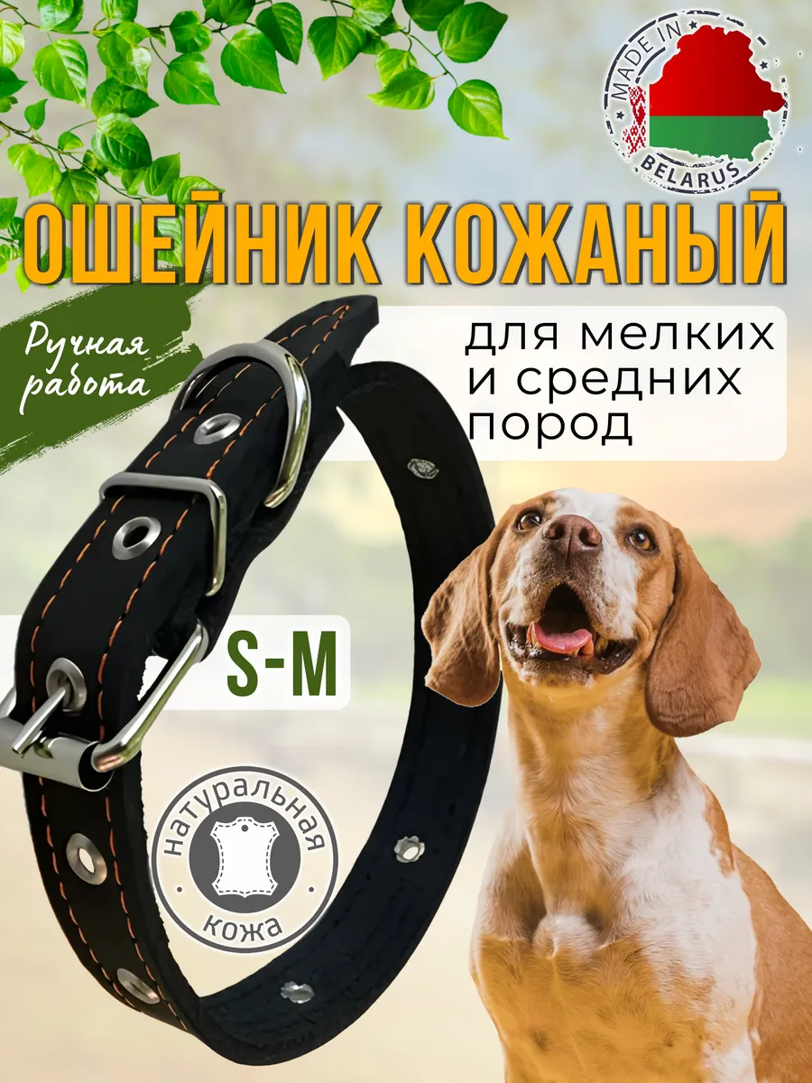 Ошейник для собак кожаный