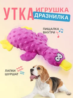 Утка - игрушка для собак и щенков Purrfect Place 268742873 купить за 333 ₽ в интернет-магазине Wildberries