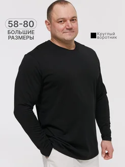 Лонгслив поло большие размеры MR BIGMAN 268793707 купить за 1 155 ₽ в интернет-магазине Wildberries