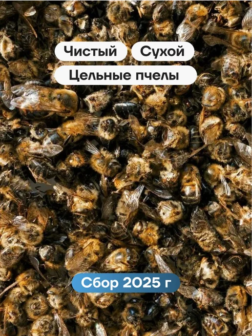Солнечная пасека Пчелиный подмор сушеный, вариант, фото 2