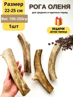 Рога оленя WOLFOODS 268833627 купить за 1 001 ₽ в интернет-магазине Wildberries