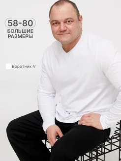 Лонгслив большие размеры с длинным рукавом MR BIGMAN 268834083 купить за 1 155 ₽ в интернет-магазине Wildberries