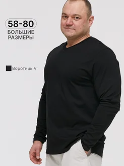 Лонгслив поло большие размеры MR BIGMAN 268862166 купить за 1 386 ₽ в интернет-магазине Wildberries
