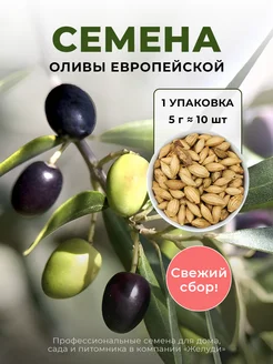 Интернет-магазин Wildberries: широкий ассортимент товаров - скидки каждый день!