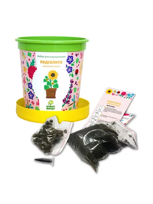 Plant Набор для выращивания Подсолнух декоративный миниатюрный, вариант, фото 2