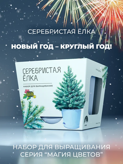Магия Цветов Серебристая елка набор для выращивания растений, серебристый, фото 8
