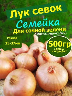 Лук семейка севок для посадки на зелень Семенология 268977134 купить за 143 ₽ в интернет-магазине Wildberries