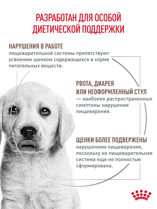 Сухой корм Royal canin Gastrointestinal При для собак, щенки, 10 кг, фото 2