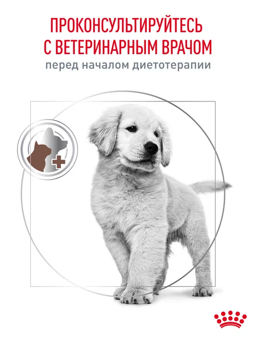 Сухой корм Royal canin Gastrointestinal При для собак, щенки, 10 кг, фото 8