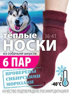 Носки теплые шерстяные набор 6 пар Sibirsocks 269005013 купить за 507 ₽ в интернет-магазине Wildberries