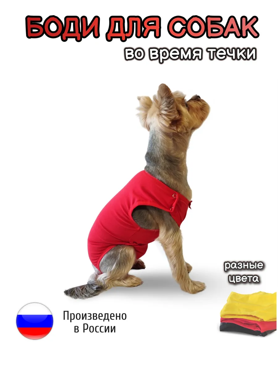 трусики сдвинулись Шорты для женщин корректирующие SIHOHAN, размер S - XXXL, цвет в  ассортименте | AliExpress