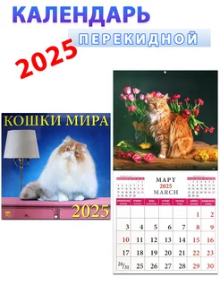 Календарь на 2025 год "Кошки мира" 300х300 мм День за днем 269217849 купить за 290 ₽ в интернет-магазине Wildberries