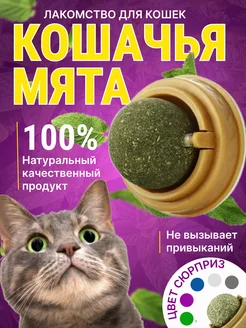 Кошачья мята шарик на стену леденец