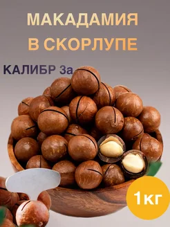 Макадамия орех в скорлупе 1 кг 269279989 купить за 553 ₽ в интернет-магазине Wildberries