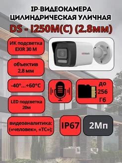 DS-I250M(C) (2.8мм) IP-видеокамера цилиндрическая