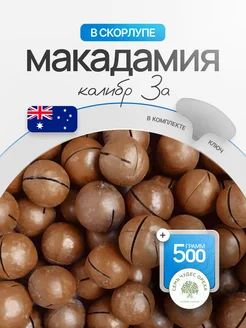 Макадамия в скорлупе 500г