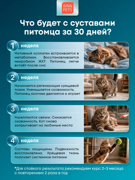 BINN PETS Хондропротектор для кошек морской коллаген суставы, вариант, фото 5