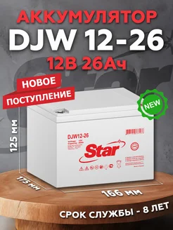 Аккумулятор DJW 12-26 12В 26Ач (12V 26Ah)