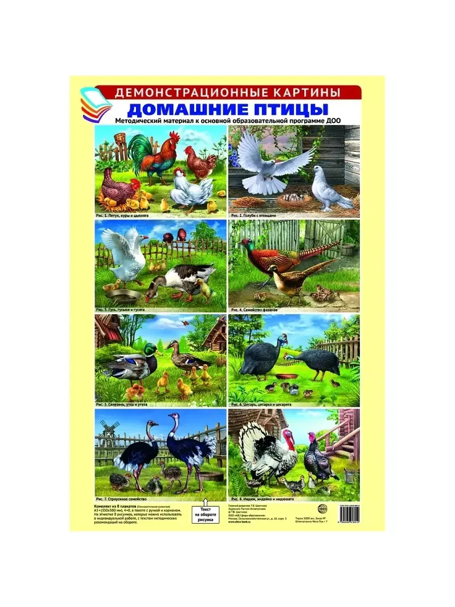 Демонстрационные картины А3. Домашние птицы