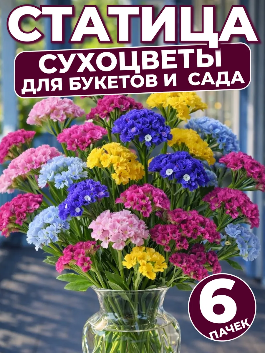 Семена цветов статица микс