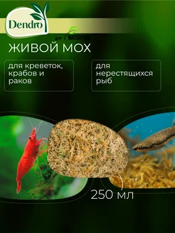 Мох для креветочника нерестовика DENDRO 250 мл Water Food 270064108 купить за 289 ₽ в интернет-магазине Wildberries