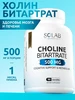 Холин Битартрат 500 мг, 90 капсул SOLAB 270073360 купить за 389 ₽ в интернет‑магазине Wildberries