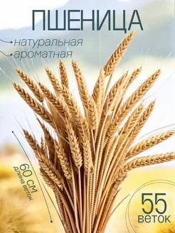 Композиция из сухостоев Пшеницы 55 веток 60см на комод