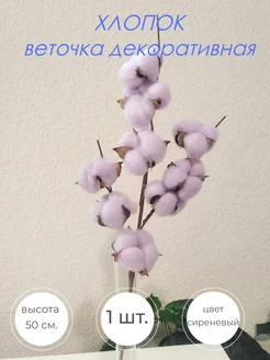 Сухоцветы хлопок ветка 50 см