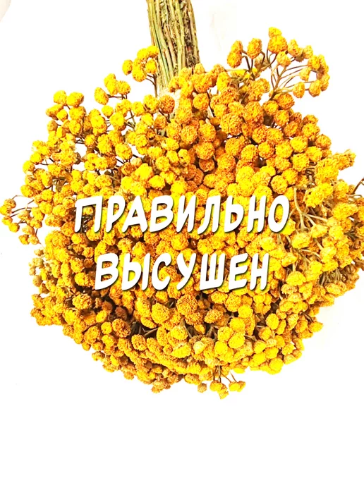 из Пущи Пижма 2 шт. Травяной веник, 2 шт, фото 6