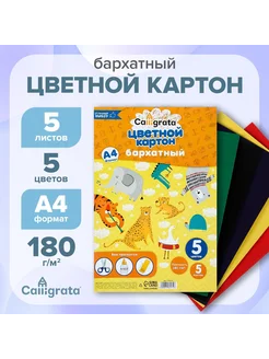 Картон бархатный А4, 5 листов, 5 цветов, 180 г м2