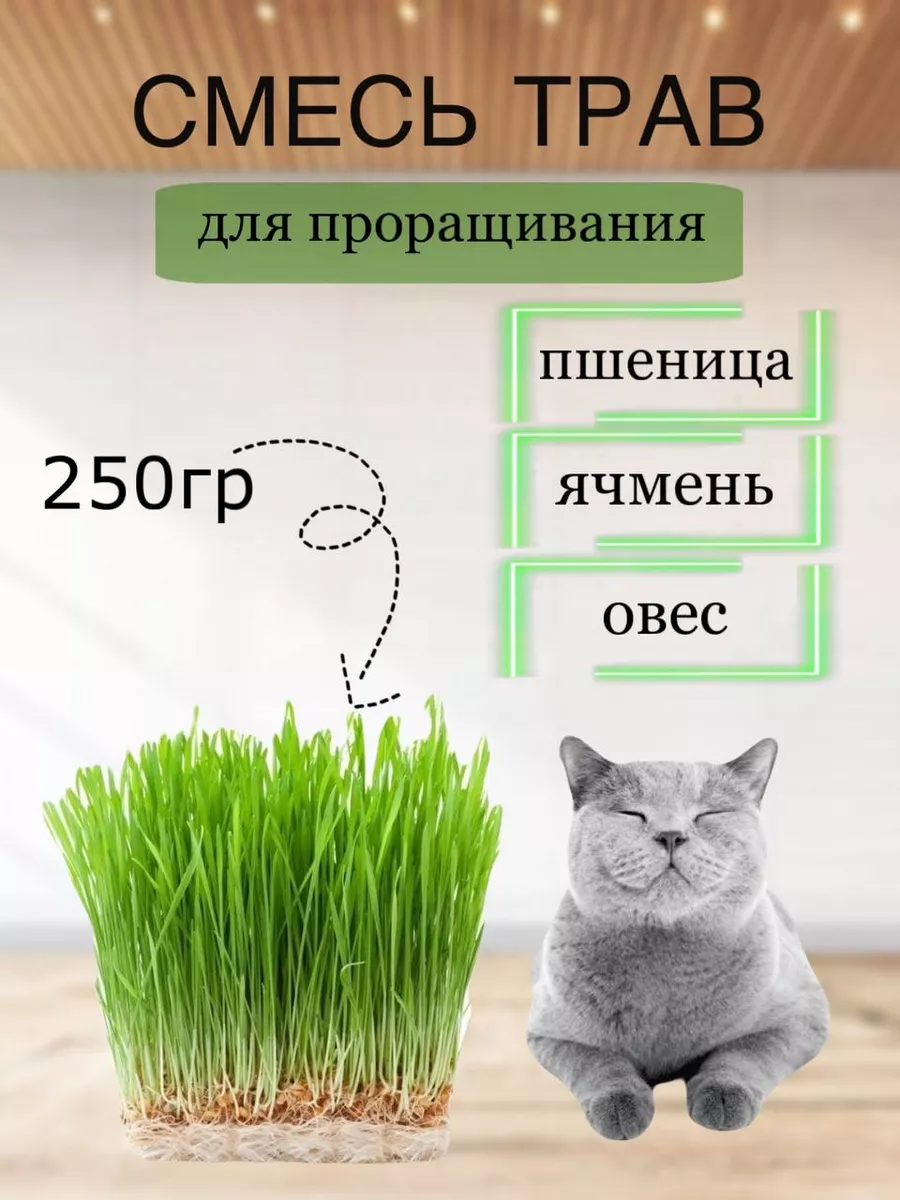 Трава для кошек семена для проращивания 250 гр