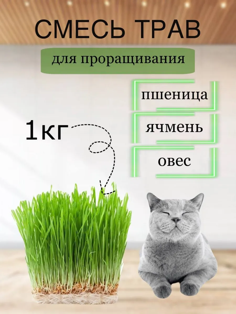 Трава для кошек семена для проращивания 1 кг