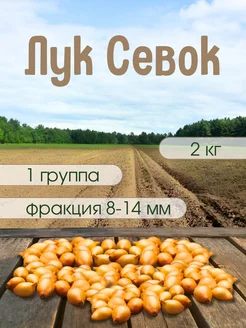 Лук Севок Штутгартер Ризен 1 группа 2 кг Лук севок 21 270353930 купить за 382 ₽ в интернет-магазине Wildberries