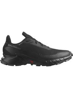 Кроссовки для бега Alphacross 5 Gtx Salomon 270388898 купить за 21 426 ₽ в интернет-магазине Wildberries