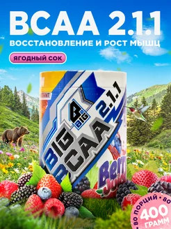 Bcaa порошок 2-1-1 аминокислоты комплексные для спорта BIG. 270476961 купить за 955 ₽ в интернет-магазине Wildberries