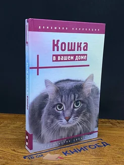 Кошка в вашем доме